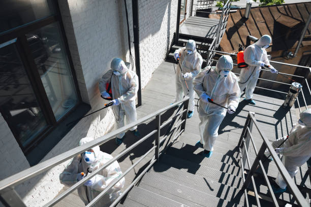 Trusted Shoreacres, TX Mold Removal Experts