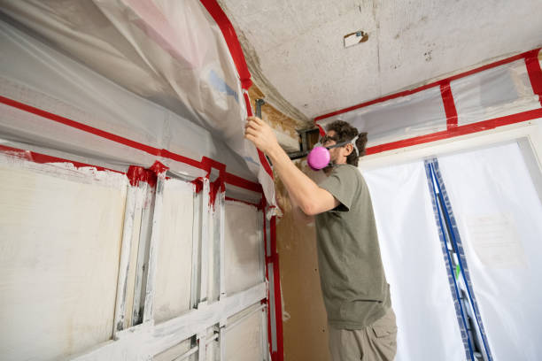 Best Crawl Space Mold Remediation  in Shoreacres, TX