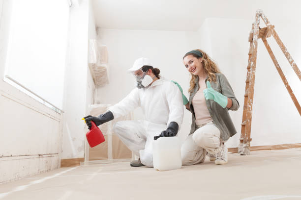 Best Mold Documentation for Insurance Claims  in Shoreacres, TX